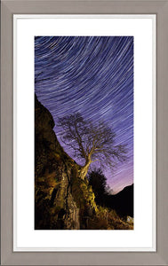 Rannerdale tree Star Trails Ref-SC2425