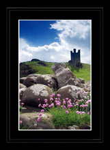 Flowers and rocks at Dunstanburgh Castle Ref-SCFRDC