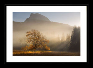 Yosemite Valley 1 Ref-SC2109