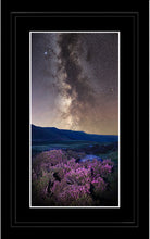 Heather and stars Ref-SC2495