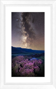 Heather and stars Ref-SC2495