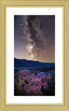 Heather and stars Ref-SC2495