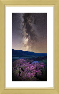 Heather and stars Ref-SC2495