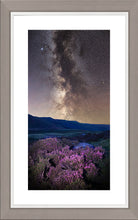 Heather and stars Ref-SC2495