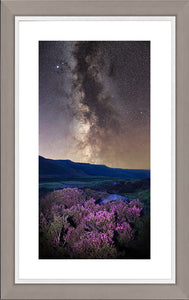Heather and stars Ref-SC2495