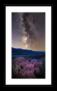 Heather and stars Ref-SC2495