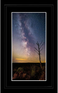 Thrunton tree Milky Way 2 Ref-SC2401