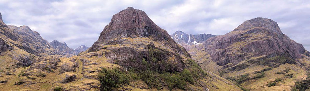 Glencoe 2 Ref-PCGC2