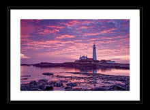 Saint Mary's purple dawn Ref-SC2084