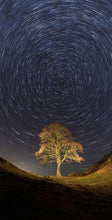 Sycamore Gap Star trails Ref-SC2410