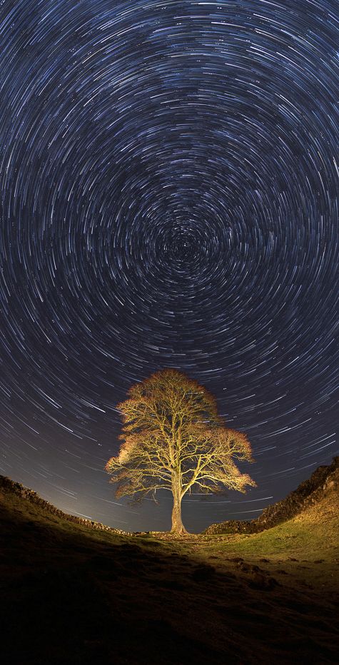 Sycamore Gap Star trails Ref-SC2410