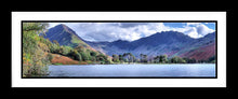 Buttermere Pines 1 Ref-PC2372