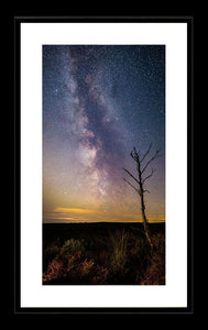 Thrunton tree Milky Way 2 Ref-SC2401