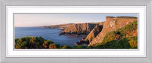 Fancove Head 3 Ref-PC1074