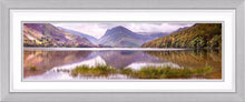 Buttermere grass 2 Ref-PC2320