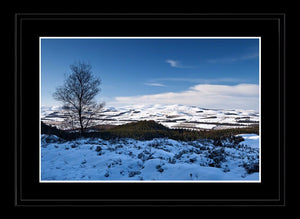 Winter Cheviots Ref-SC2118