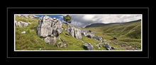 Ingleborough limestone Ref-PC245