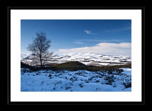 Winter Cheviots Ref-SC2118