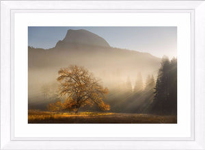 Yosemite Valley 1 Ref-SC2109