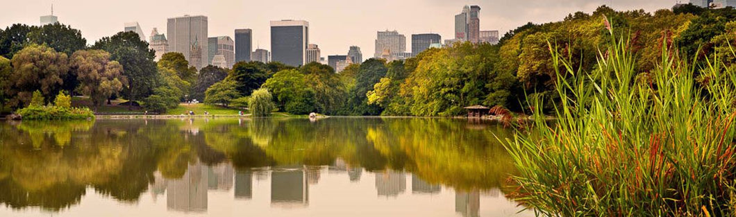 Central Park New York Ref-PC561