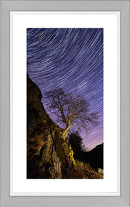 Rannerdale tree Star Trails Ref-SC2425