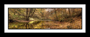 Plessey Woods 2 Ref-PC150