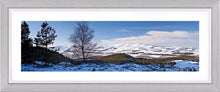Thrunton Woods snow 2 Ref-PC345