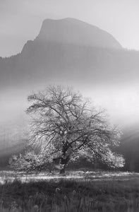 Yosemite Valley 2 Ref-SBW2110