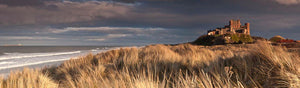 Bamburgh Castle grass Ref-PC352