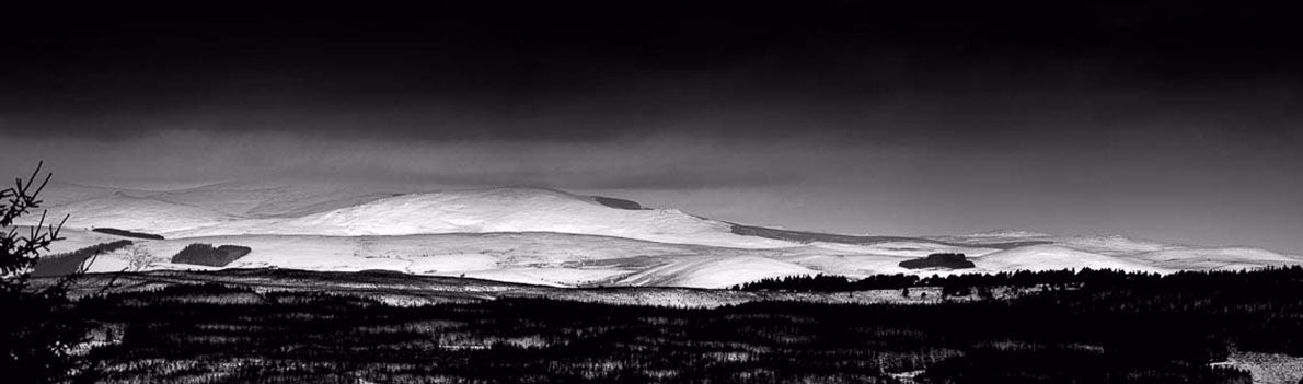 Thrunton Winter Cheviots Ref-PBW184