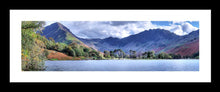 Buttermere Pines 1 Ref-PC2372