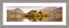 Grasmere trees Ref-PC1027
