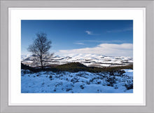 Winter Cheviots Ref-SC2118