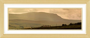 Pen-y-ghent dawn 217 Ref-PC217