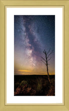 Thrunton tree Milky Way 2 Ref-SC2401