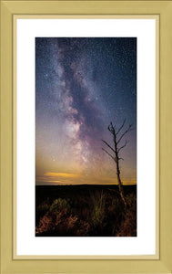 Thrunton tree Milky Way 2 Ref-SC2401