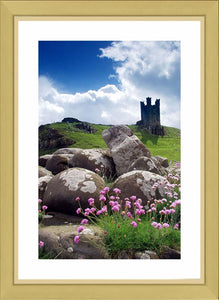 Flowers and rocks at Dunstanburgh Castle Ref-SCFRDC