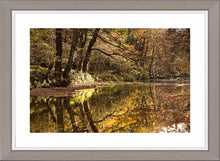 Plessey Woods autumn 4 Ref-SCPWA4