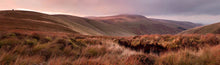 Schill sunset 2 Ref-PC445