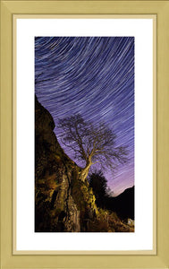 Rannerdale tree Star Trails Ref-SC2425