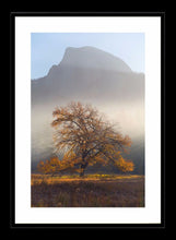 Yosemite Valley 2 Ref-SC2110