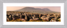 Ingleborough limestone 2 Ref-PC545