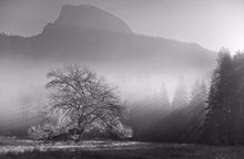 Yosemite Valley 1 Ref-SBW2109