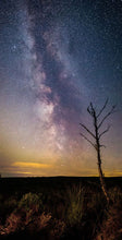 Thrunton tree Milky Way 2 Ref-SC2401