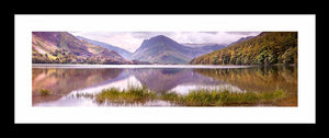 Buttermere grass 2 Ref-PC2320