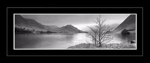 Crummock Water tree Ref-PBW347