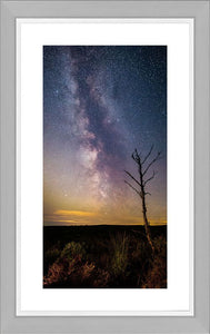 Thrunton tree Milky Way 2 Ref-SC2401