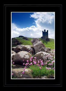 Flowers and rocks at Dunstanburgh Castle Ref-SCFRDC