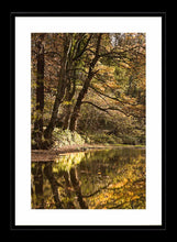 Plessey Woods autumn 3 Ref-SCPWA3