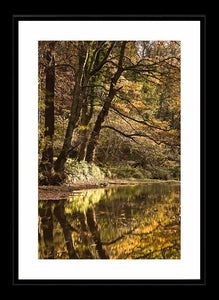 Plessey Woods autumn 3 Ref-SCPWA3